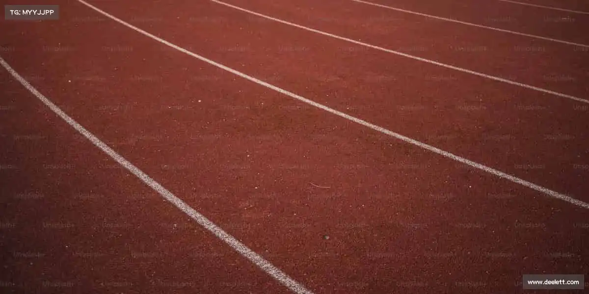 9.1免费漫画网站nba入口把远方的风景、身边的温情，都装进有温度的影视里🌍